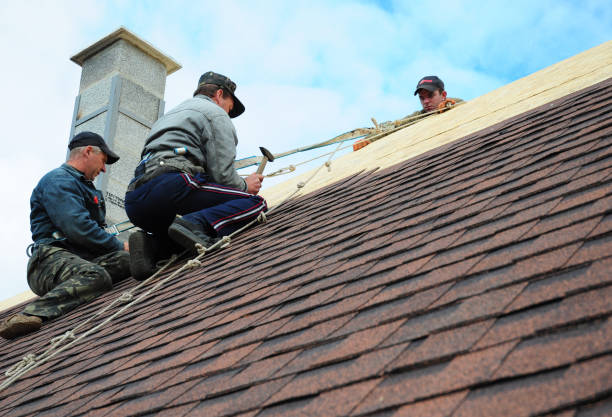 Quick and Trustworthy Emergency Roof Repair Services in Mahtomedi, MN